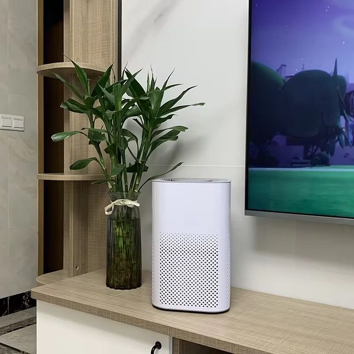 Очиститель воздуха HEPA