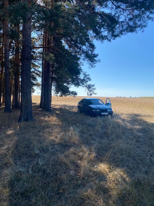Продам машину BMW 318