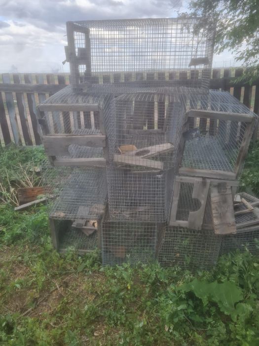 Клетки под что угодно