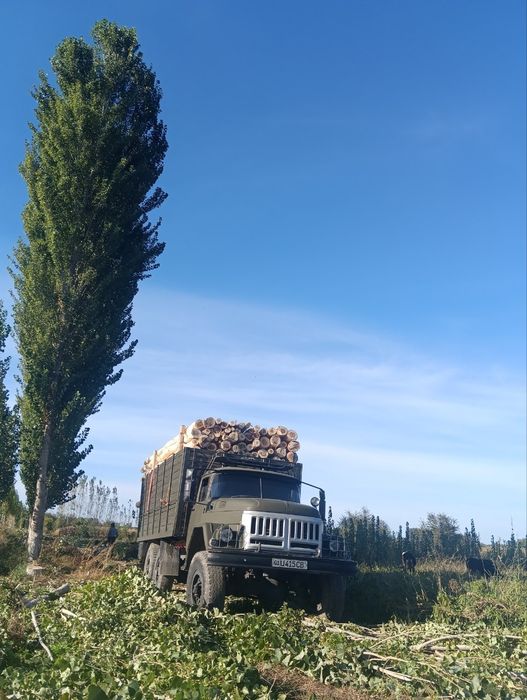 Terak olamiz va sotamiz kelishilgan narxlarda