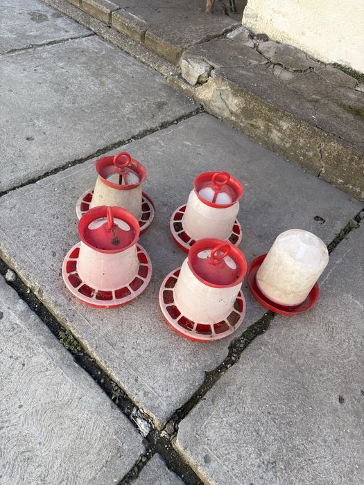 Hranitor pasari bune