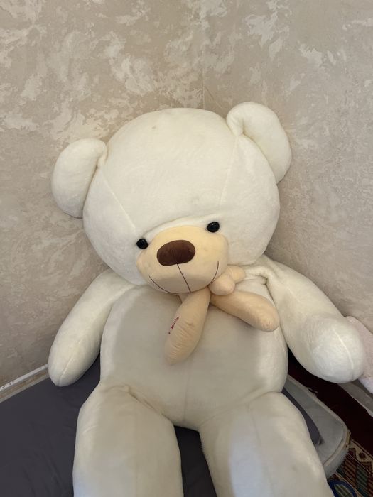 Аю 2 метр новый туған күнге берілген срочна сатамын тек каспимен