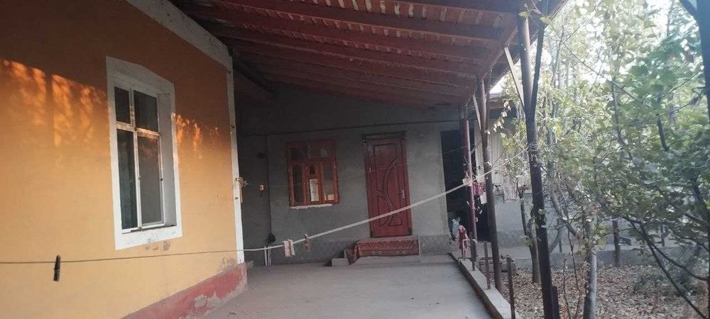 Денов туман Тошқўрғон махалласида