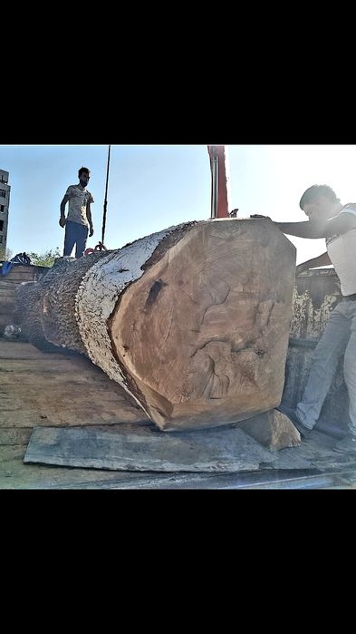 Дарахт кесиш хизмати обрезка спил деревя бензопила услуг daraxt kesi