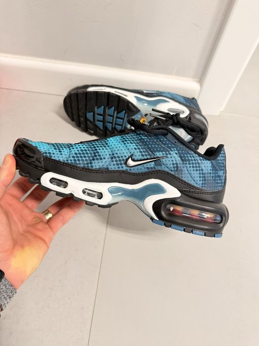 Nike Air Max TN Plus Dusty Cactus
