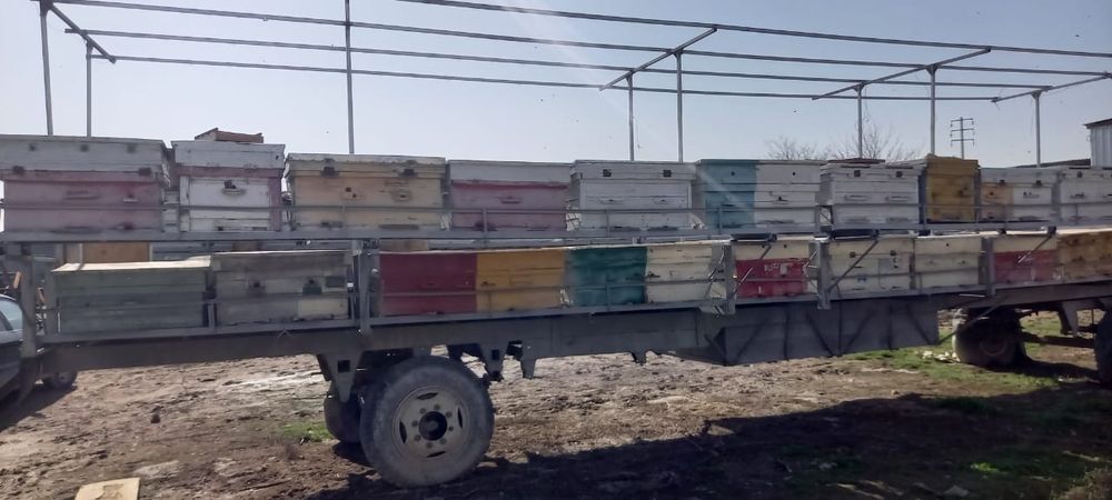 Пчелоприцеп бизнес