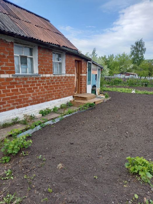 Продам дачу , СТ «Дружба»