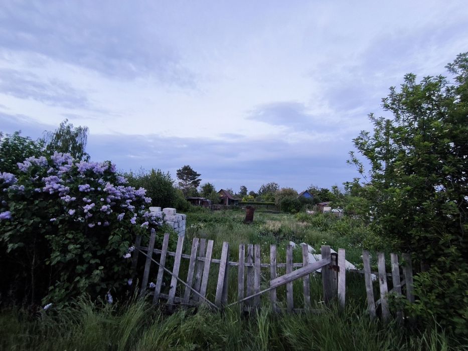 Продам дачный участок в СТ Ромашка