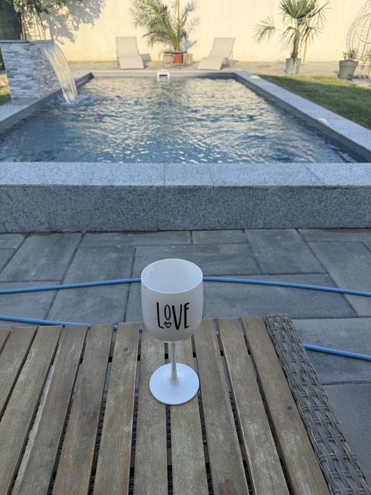 Casa cu piscina incalzita,ciubar-jacuzzi-sauna! PETRECERI PRIVATE !!!