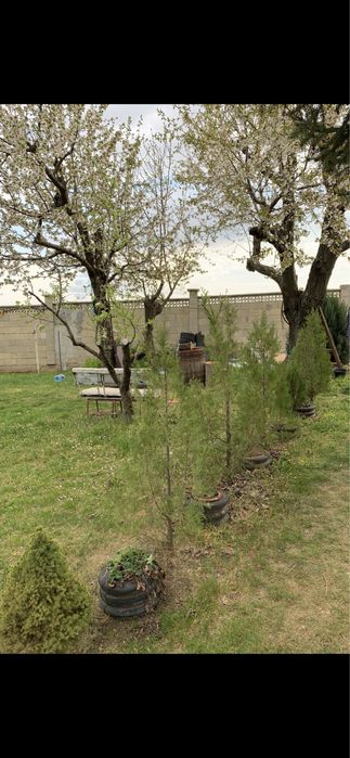 Продава се Къща в Добрич, Център - 32 кв.м за 510 €/кв.м - Снимка #1