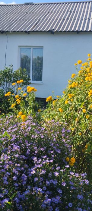 Продам дом , час от Астаны