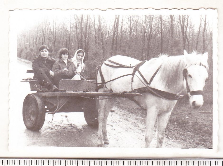 Antichitati pentru colectionari