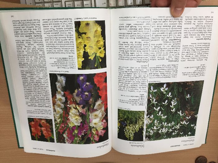 Енциклопедия A-Z of Annuals, Biennials & Bulbs (Successful Gardening)