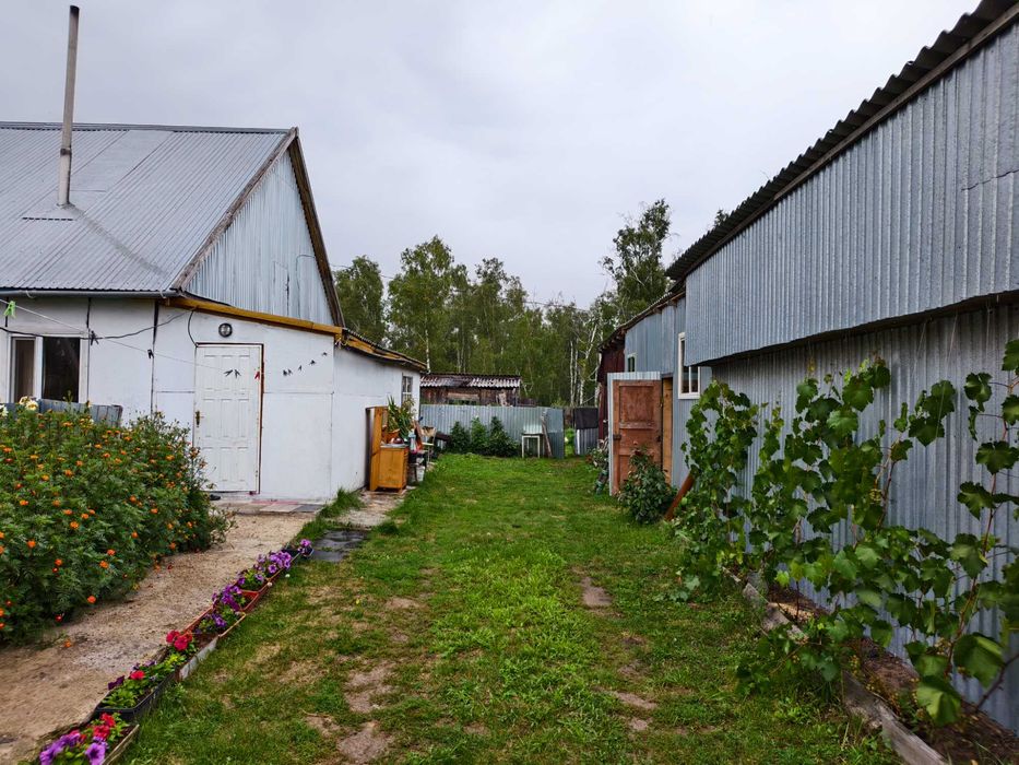 продам дом в с. Белое