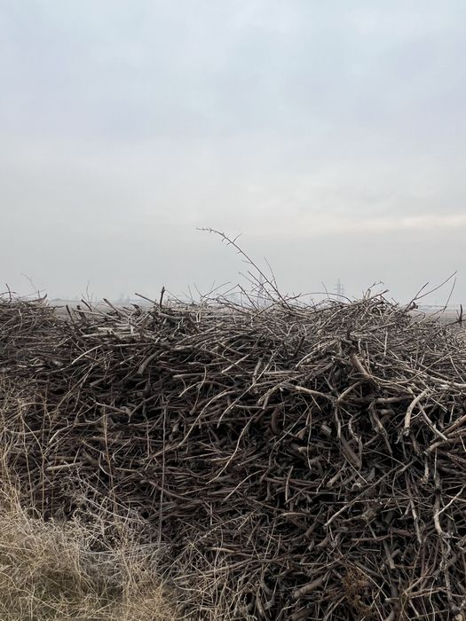 Дрова Oʻtin bor (sliva oʻrik gilos)