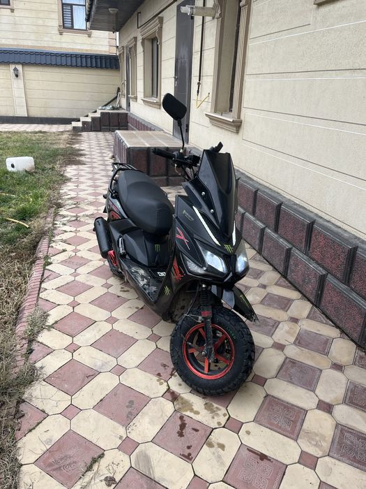 Самурай лия 2024