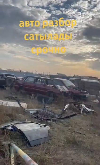 Обмен на баран овцы