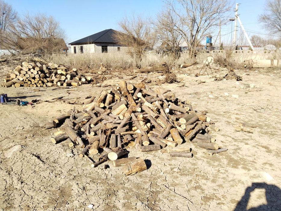 Продам дрова. Карагач, чурки.