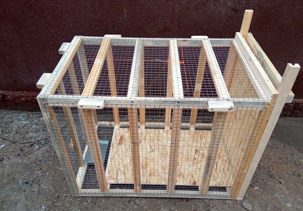 Ловушка для собак