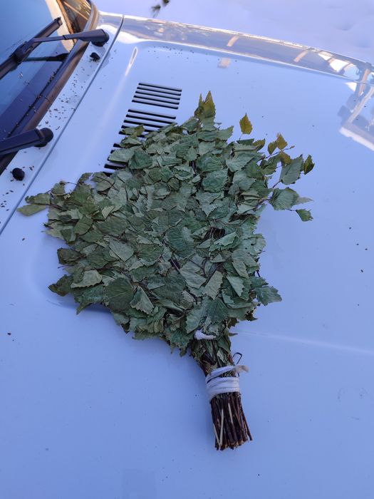 Веники для бани, берёзовые.