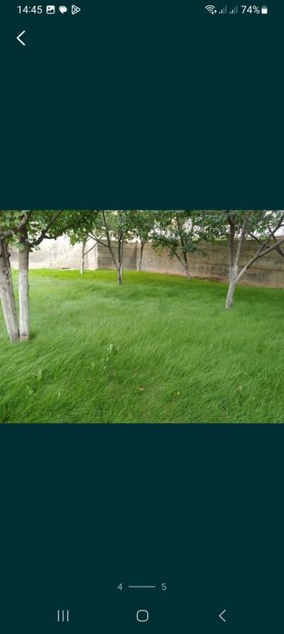 Газон- автополив, полив газон посатка .