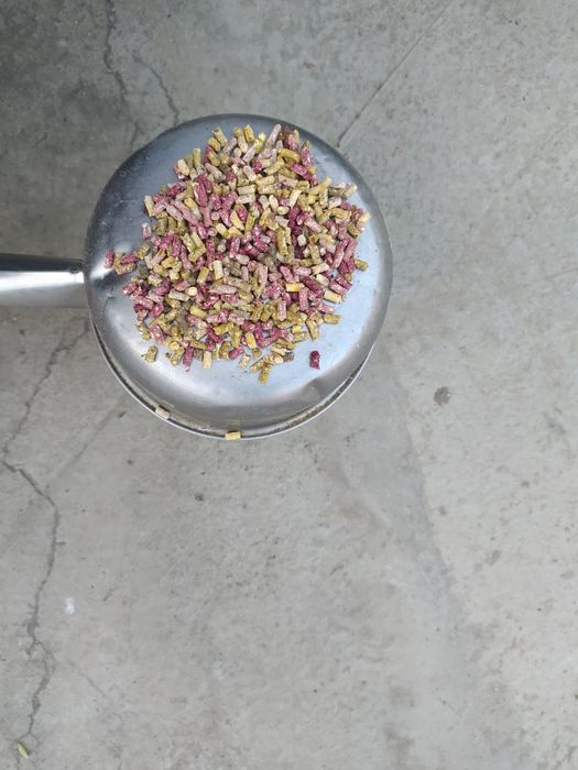 Granulyator Mustang 4Kw