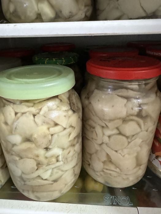 Продам солёные грибы грузди