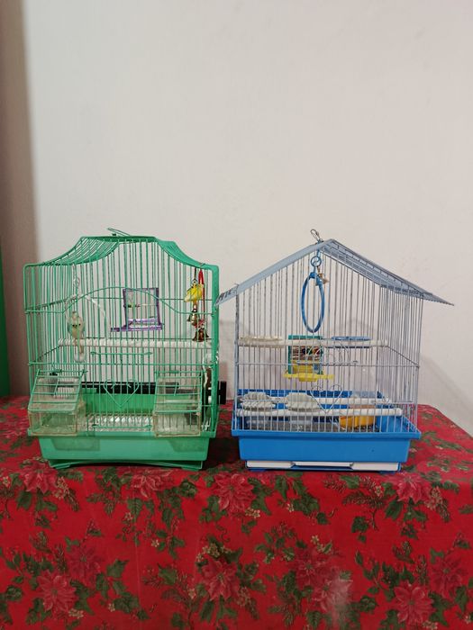 Vând 2 colivii pentru papagali peruși și canari