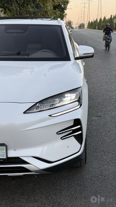 Byd Champion Smart