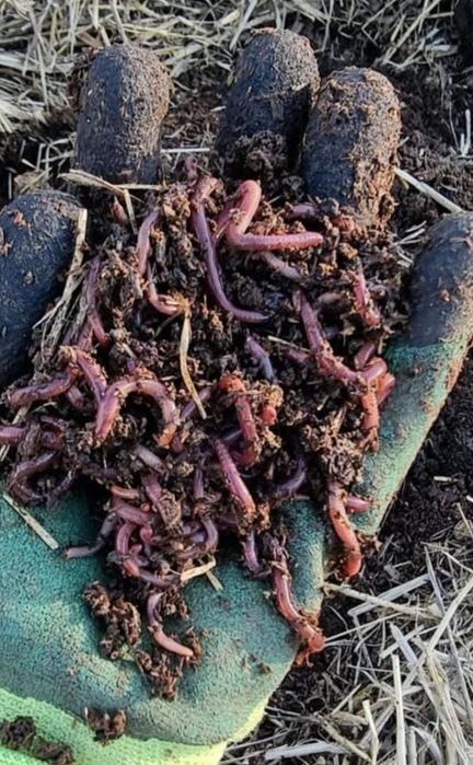 Ассалаумағалейкум! Бізде ең сапалы, лабораториялық сараптамадан өткен,