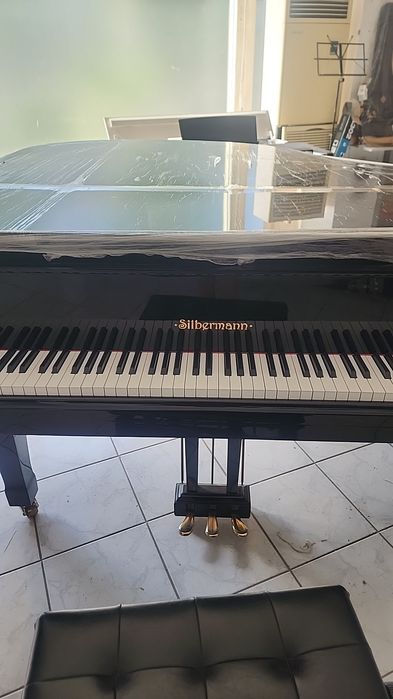 Рояль салонный Фибигер 170см