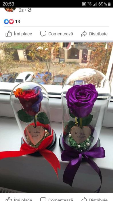 Trandafir criogenat conservat mov