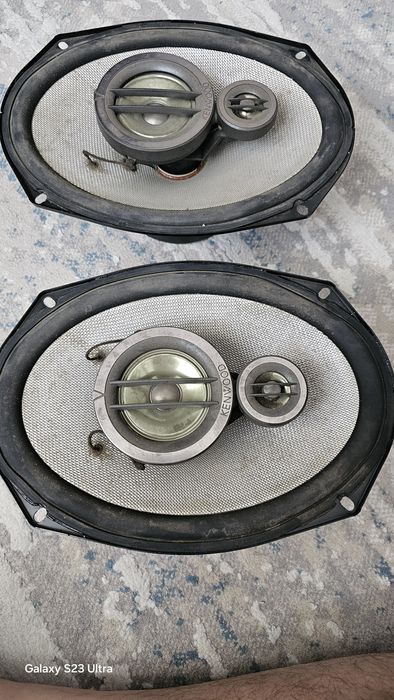 Калонкий кенвуды