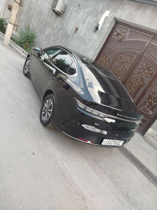 BYD CHAZOR     2024