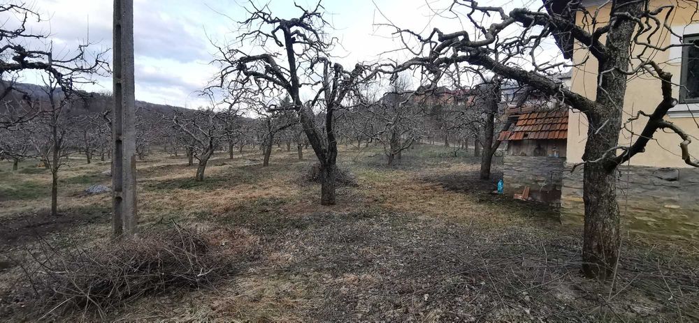 Casa batraneasca Malu cu Flori cu livada de meri