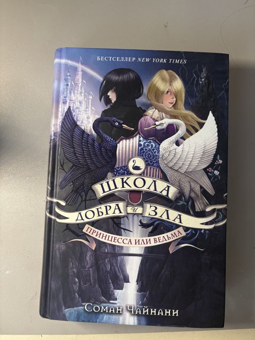 книга «школа добра и зла» первая часть