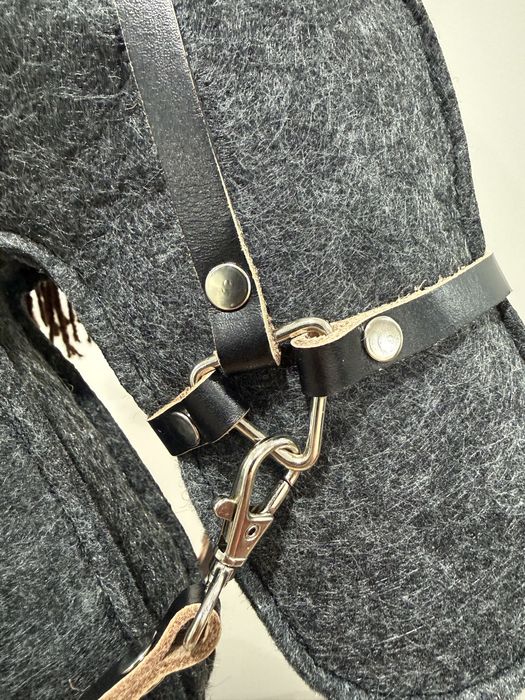 Таяқ ат - лошадки на палке, хобби хорсинг