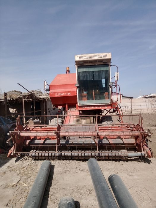 1200 ynesey yil 1992