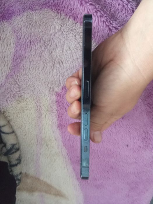 iPhone 12 pro max