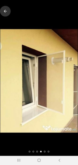 Plase insecte / tantari