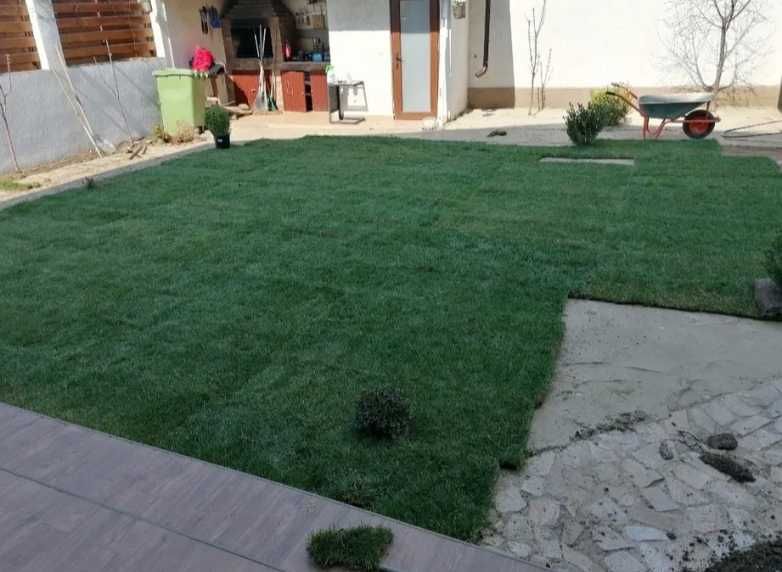 Gazon Natural Aclimatizat – Livrare în Toată Țara și Montaj