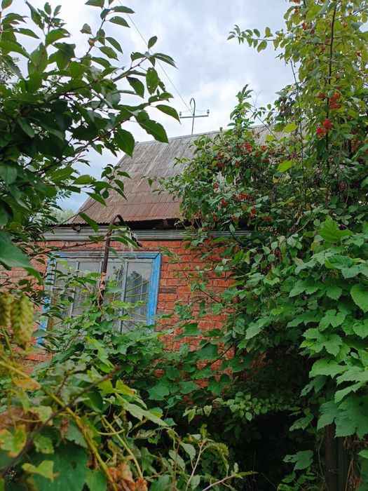 Продам дачу район Гавани