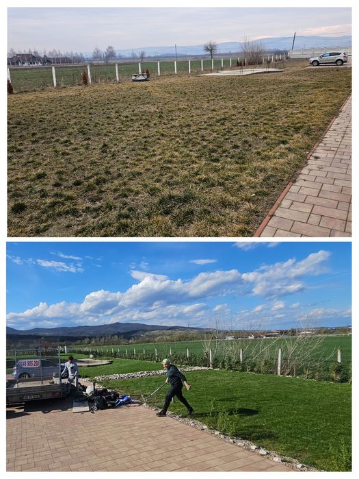 Amenajari gradini gazon rulou insamantare scarificat suprainsamantare irigatii drenaj pavaj intretinere