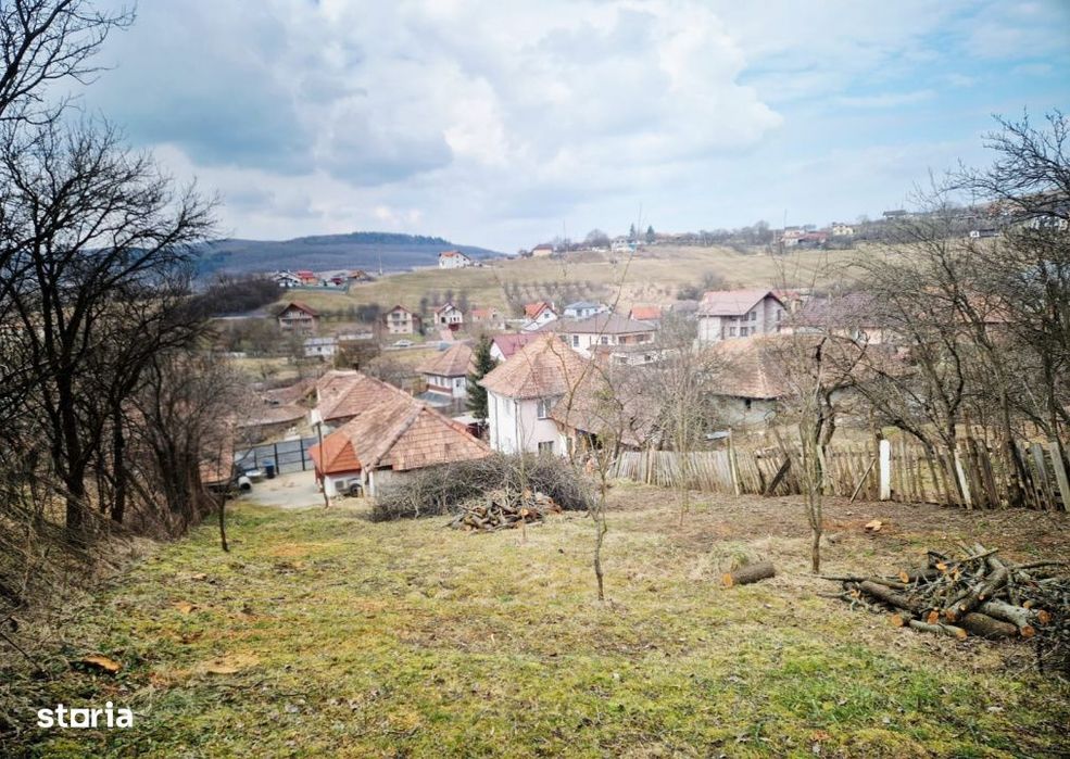 Casa la tara, la 30 min de Cluj – renovata, livada pe rod si teren 1