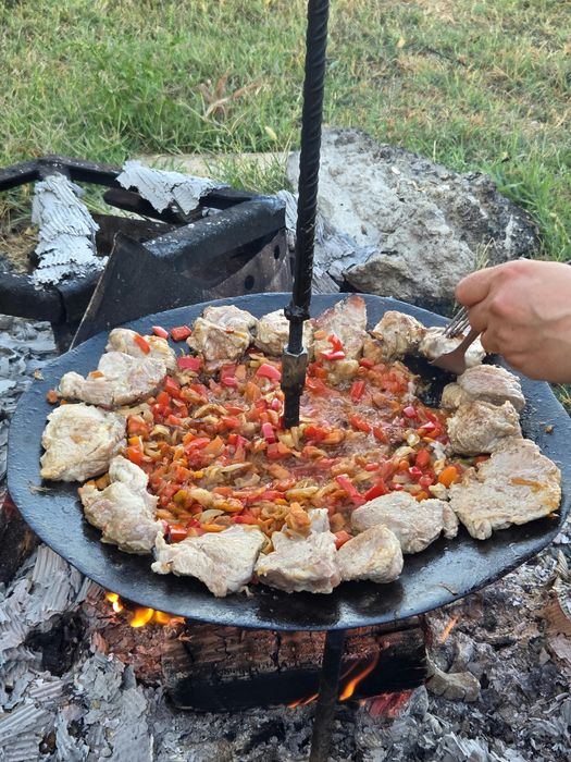 Vand disc gratar