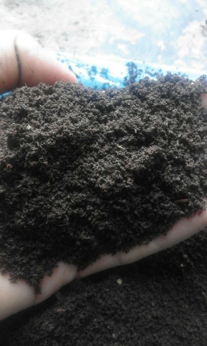 Sifatli biogumus va Kaliforniya chuvalchangi sotiladi.