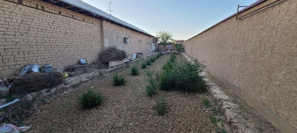 Hovli sotiladi .Hamma sharoitlari bor uy sotiladi. 5 xonali ichimlik