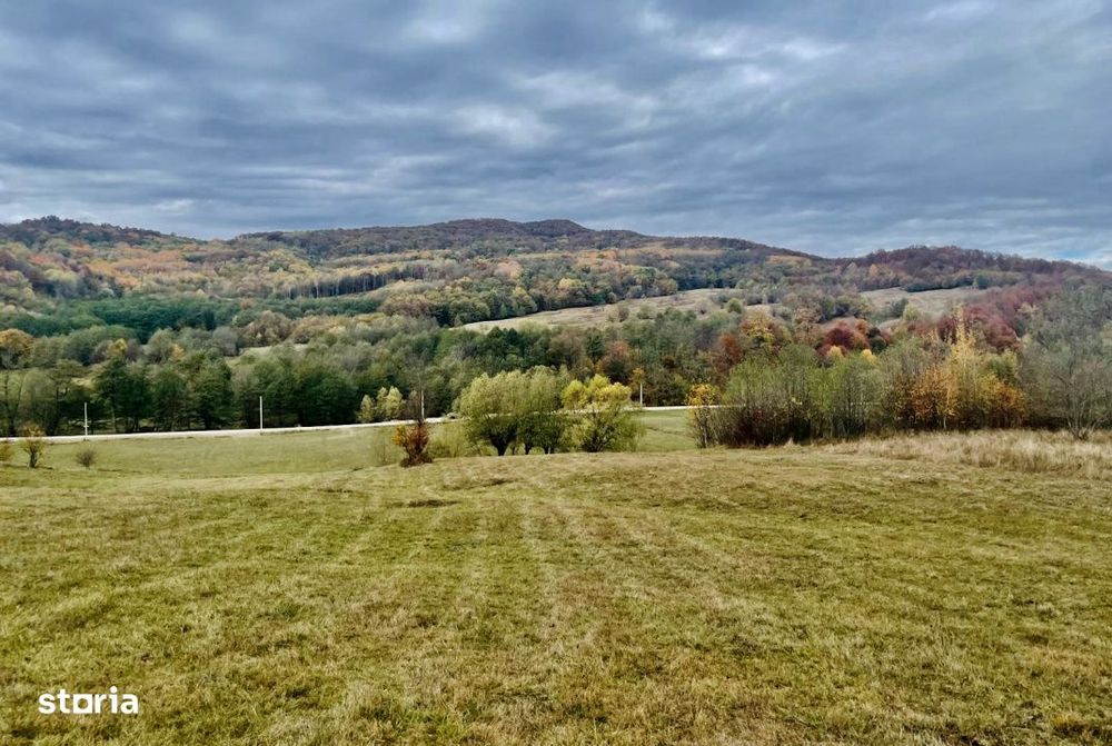 Teren larg 2 ha, la padure, panoramic dealuri si rau, cu curent, DJ