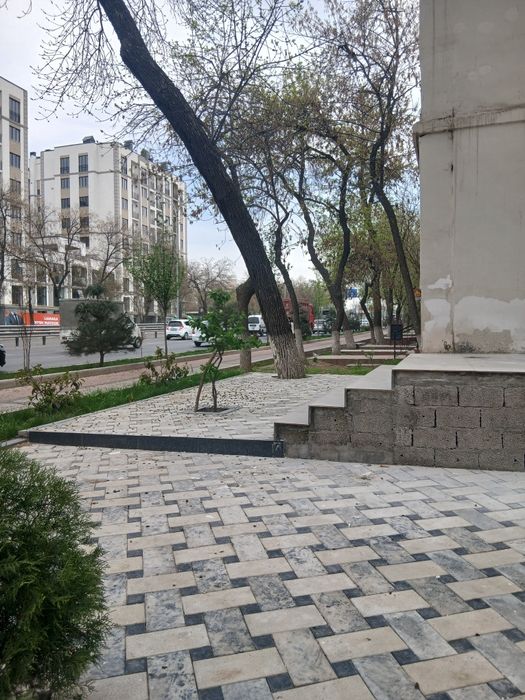 Ялангач на против ЭкО базара