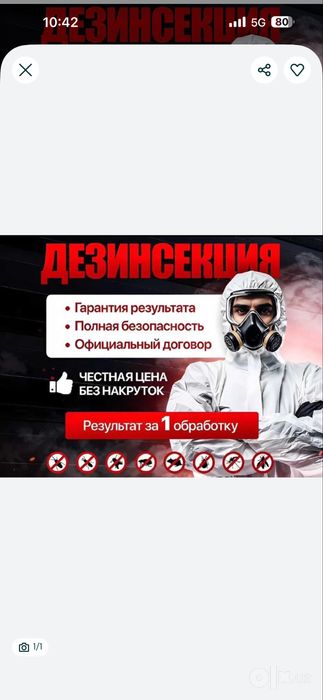 Дезинфекция, Дезинсексия